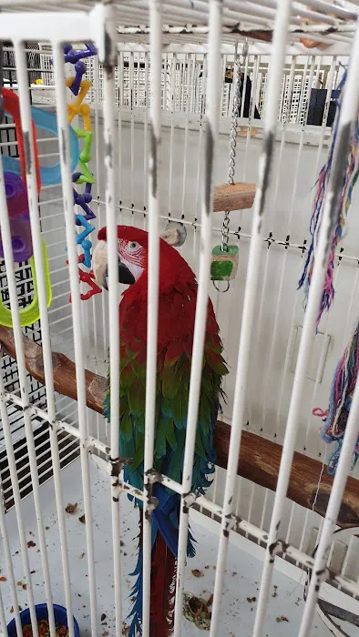 Birds & More Picture 4