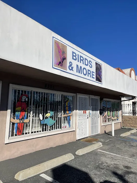 Birds & More Picture 2