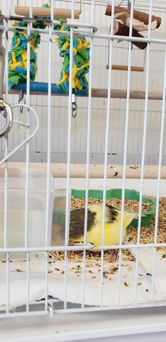 Birds & More Picture 3