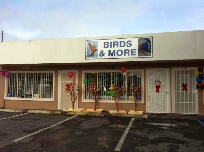 Birds & More Picture 10