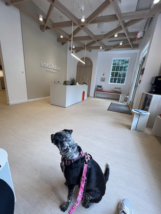 Small Door Veterinary - Spring Valley Picture 10