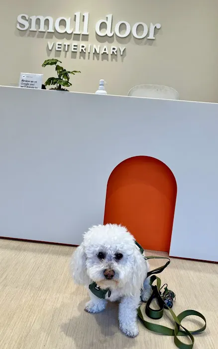 Small Door Veterinary - Spring Valley Picture 2