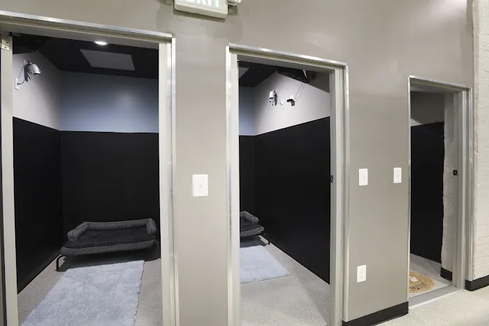 Kenwood Animal Hospital Inc Picture 1