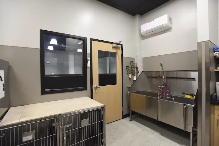 Kenwood Animal Hospital Inc Picture 5