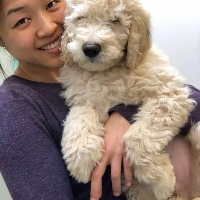 Palisades Veterinary Clinic Picture 7