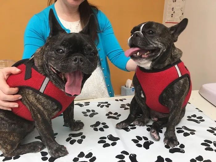 Palisades Veterinary Clinic Picture 6