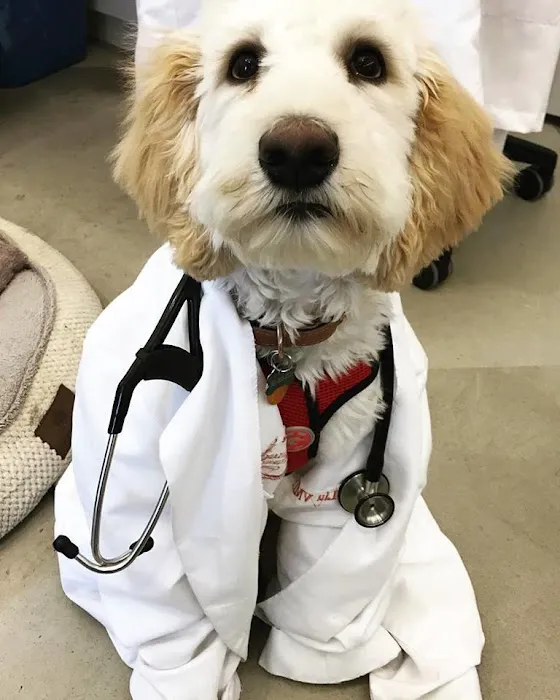 Palisades Veterinary Clinic Picture 9