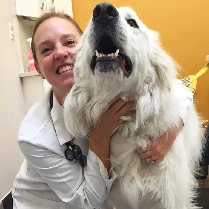 Palisades Veterinary Clinic Picture 5