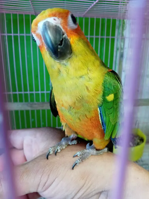 La Periquita Petshop Picture 10