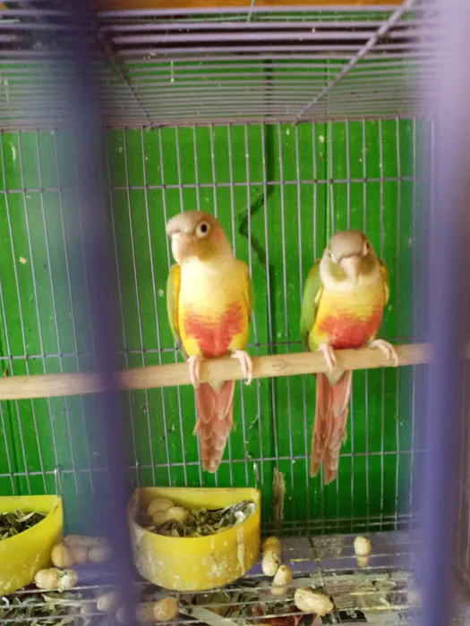 La Periquita Petshop Picture 6