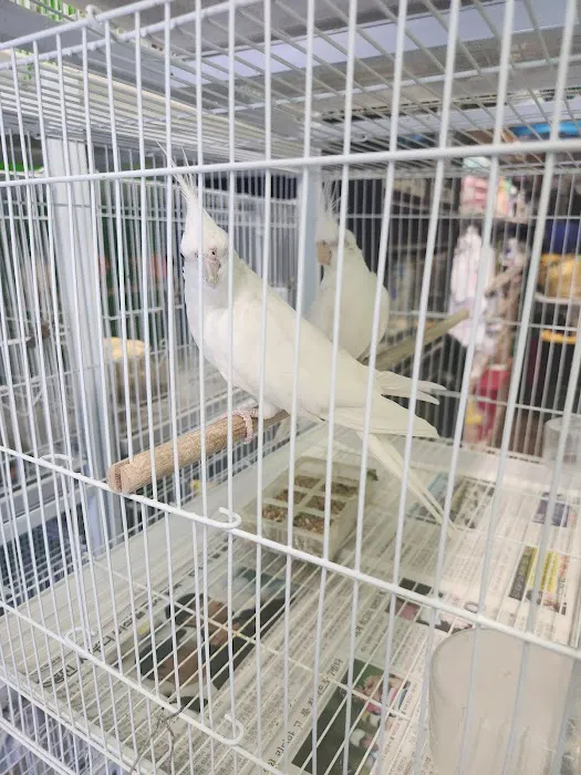 La Periquita Petshop Picture 4