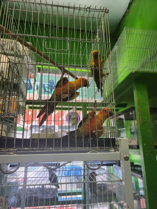 La Periquita Petshop Picture 3