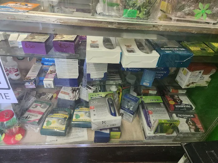 La Periquita Petshop Picture 5