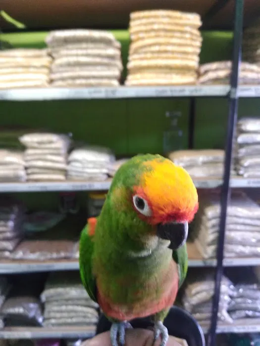La Periquita Petshop Picture 8