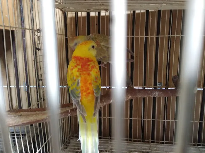 La Periquita Petshop Picture 1