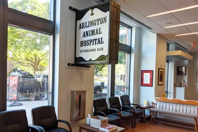 Arlington Animal Hospital Picture 6