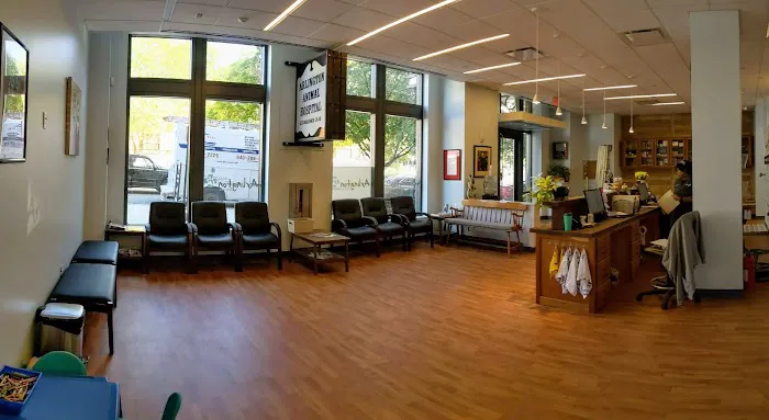 Arlington Animal Hospital Picture 5