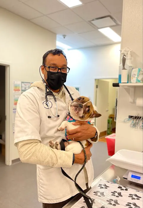 Arlington Animal Hospital Picture 1