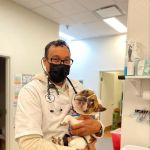Arlington Animal Hospital