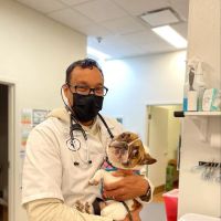 Arlington Animal Hospital ico