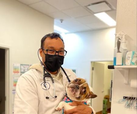 Arlington Animal Hospital