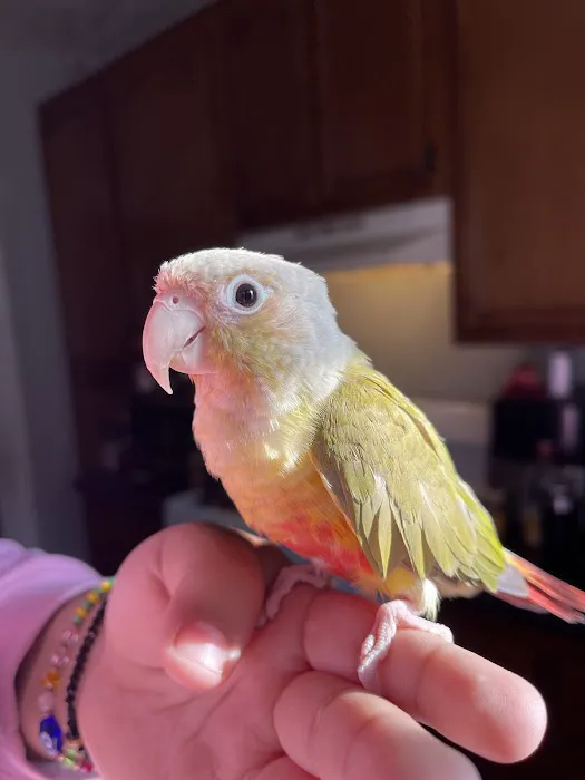 N&J Pet Shop Picture 2