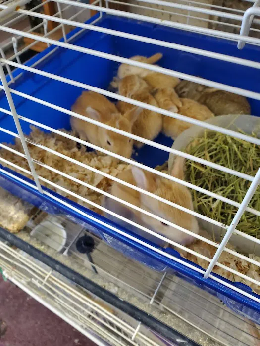 N&J Pet Shop Picture 1
