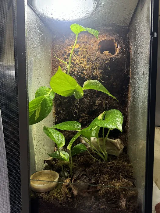 N&J Pet Shop Picture 4