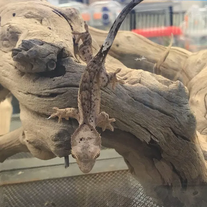 N&J Pet Shop Picture 7