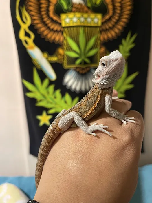 N&J Pet Shop Picture 3