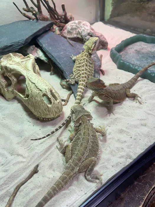 N&J Pet Shop Picture 5