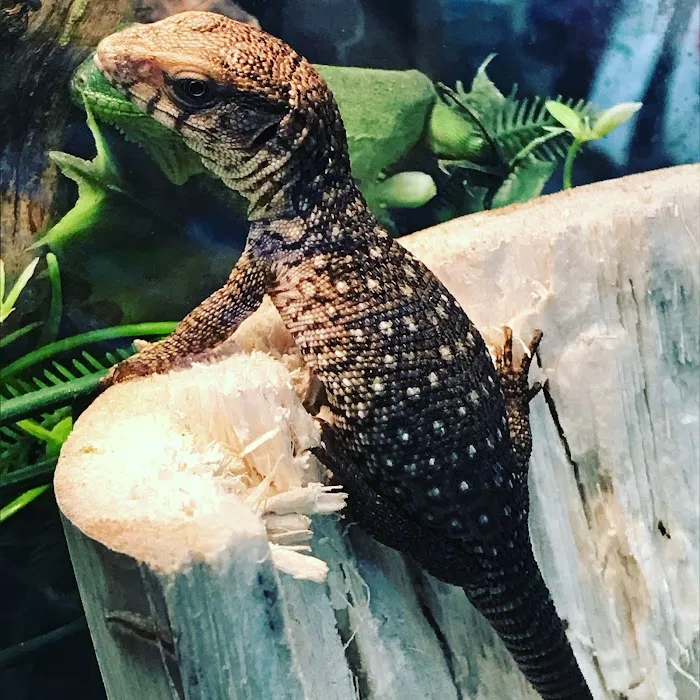 N&J Pet Shop Picture 10