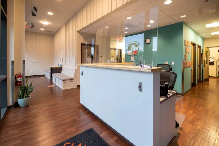 Clarendon Animal Care South Arlington Picture 9
