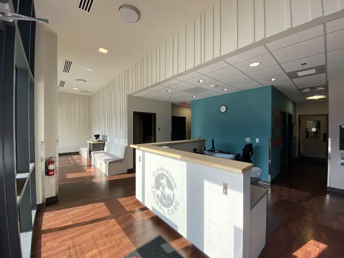 Clarendon Animal Care South Arlington Picture 2