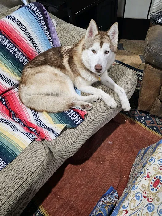 Ramirez Pet Picture 6