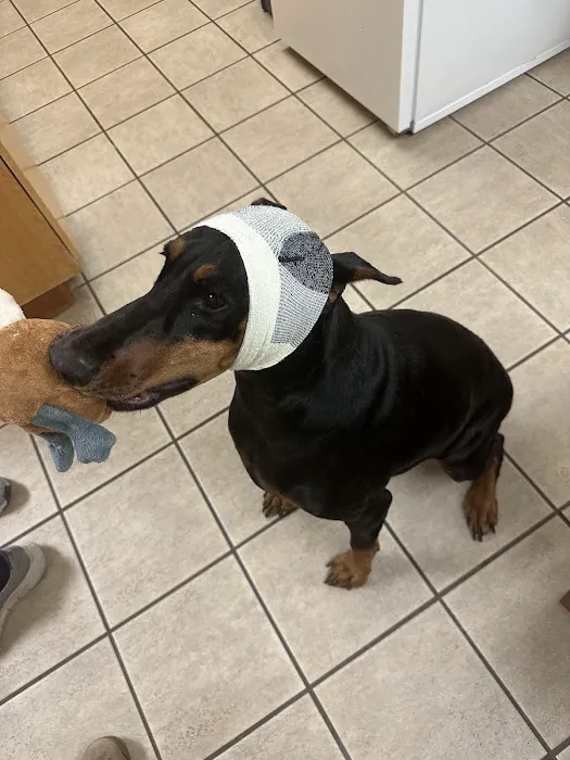 Fort Myer Veterinary Treatment Facility Picture 2