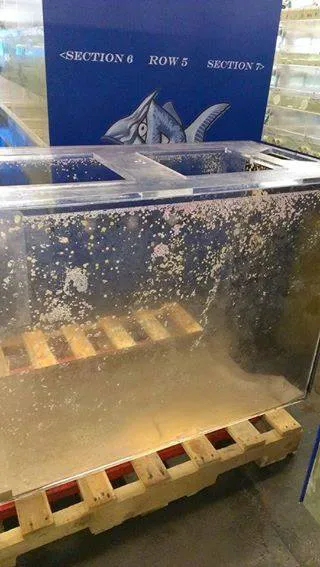 Acrylic Pros Aquarium Design & Restoration Picture 1