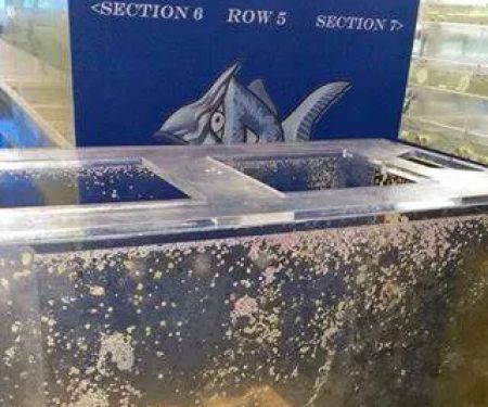 Acrylic Pros Aquarium Design & Restoration