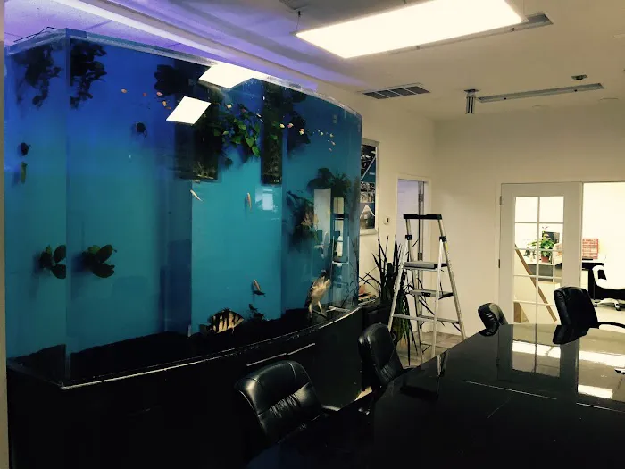Acrylic Pros Aquarium Design & Restoration Picture 7
