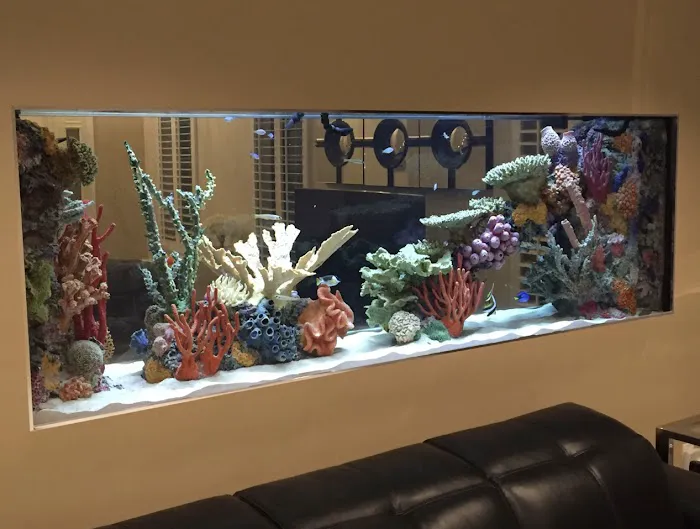 Acrylic Pros Aquarium Design & Restoration Picture 9