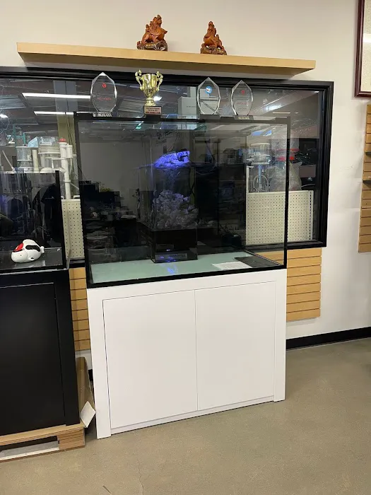 Acrylic Pros Aquarium Design & Restoration Picture 2