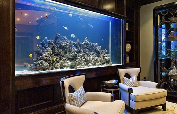Acrylic Pros Aquarium Design & Restoration Picture 10