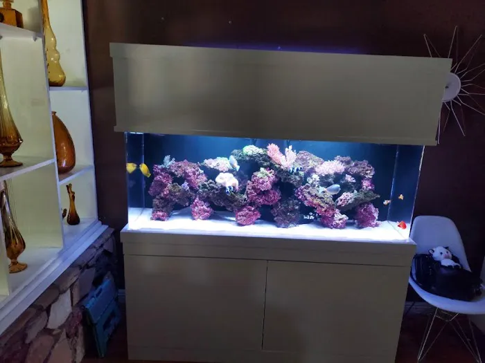 Acrylic Pros Aquarium Design & Restoration Picture 5