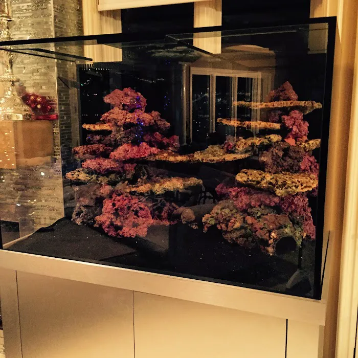 Acrylic Pros Aquarium Design & Restoration Picture 8