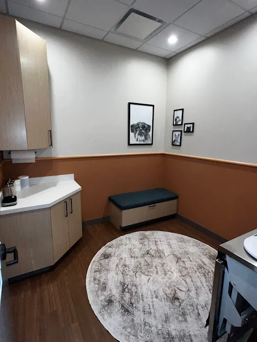 Urgent Animal Care of Arlington Picture 8