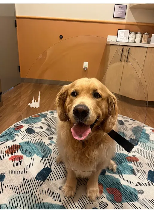 Urgent Animal Care of Arlington Picture 2
