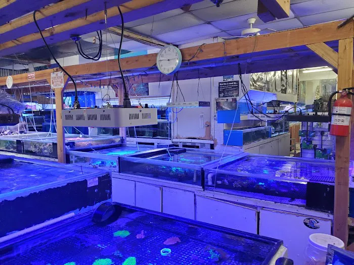 Discount Tropical Fish & Pond Picture 4