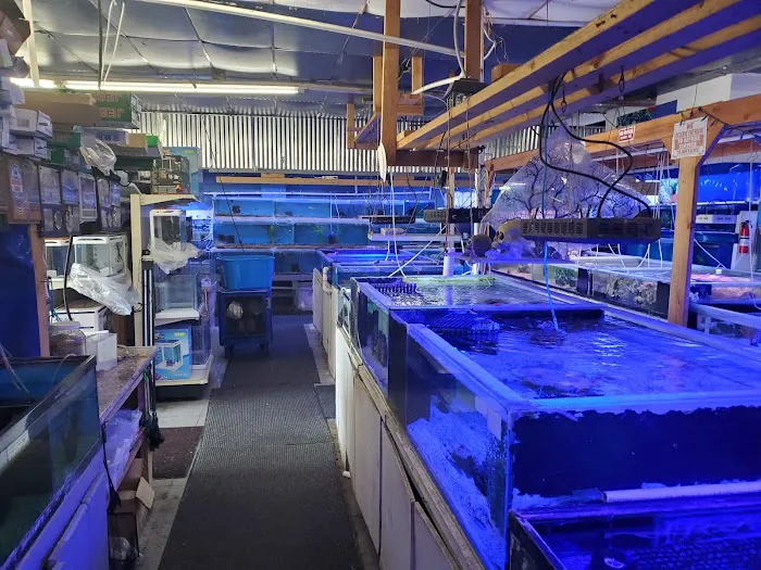 Discount Tropical Fish & Pond Picture 7