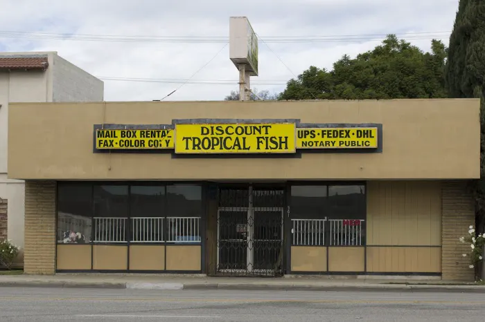 Discount Tropical Fish & Pond Picture 1