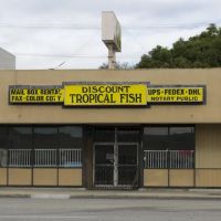 Discount Tropical Fish & Pond ico